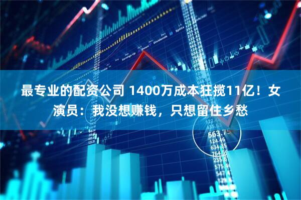 最专业的配资公司 1400万成本狂揽11亿!女演员:我没想赚钱,只想留住乡愁